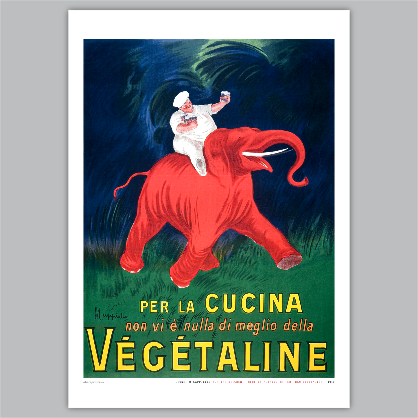 LEONETTO CAPPIELLO - For the kitchen, there is nothing better than Végétaline