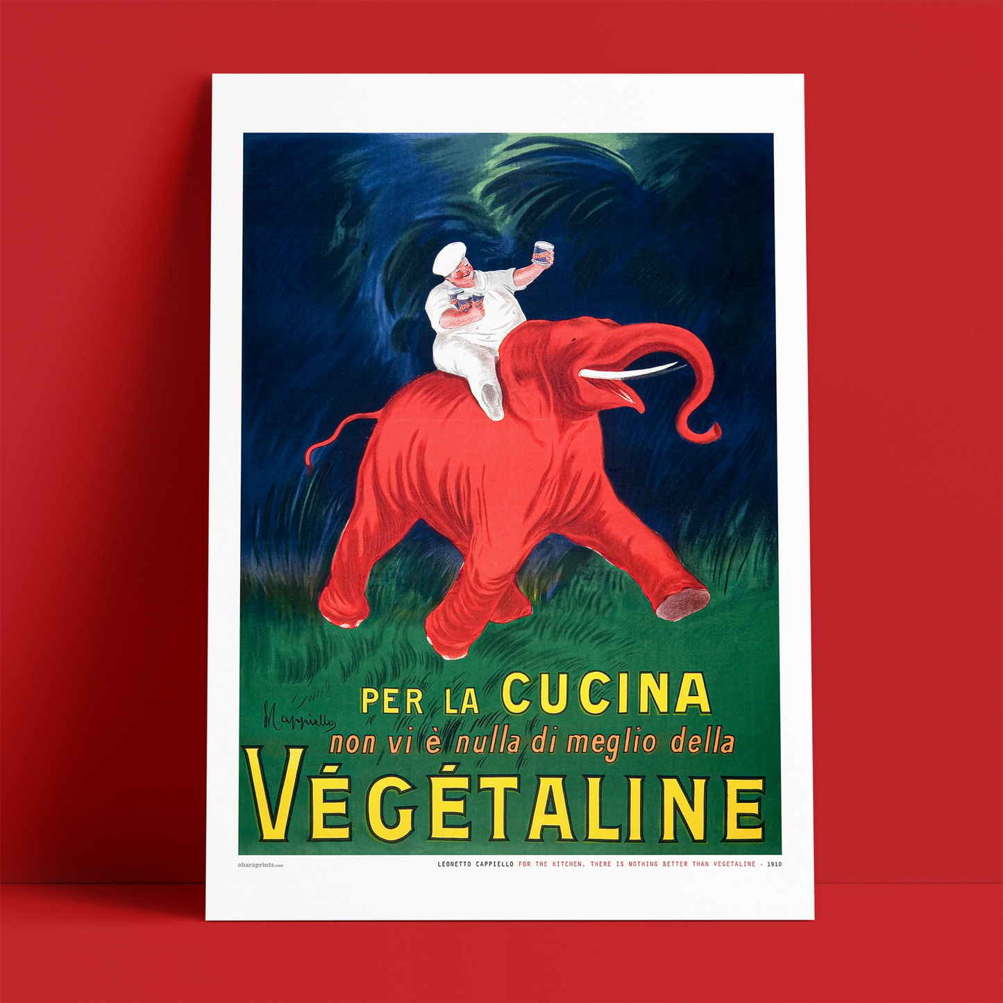 LEONETTO CAPPIELLO - For the kitchen, there is nothing better than Végétaline