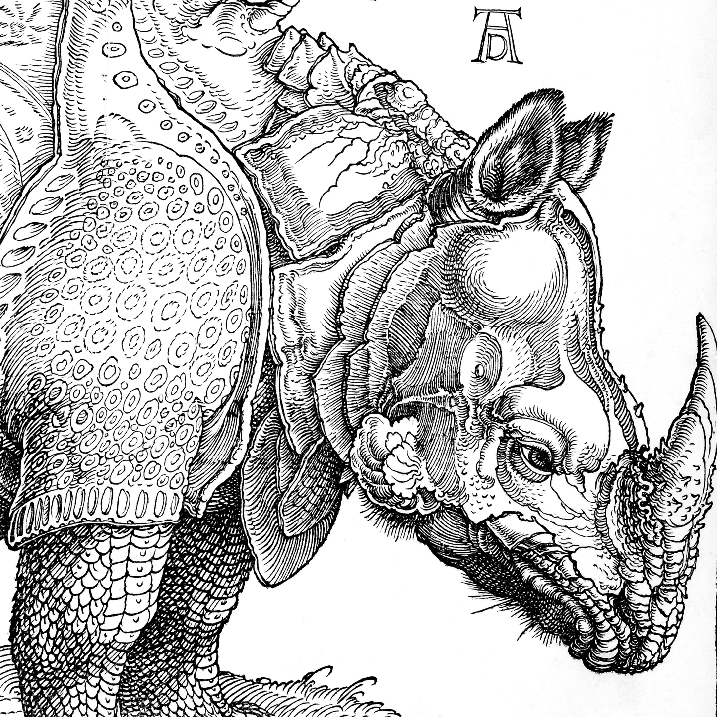 ALBRECHT DÜRER - Rhinoceros