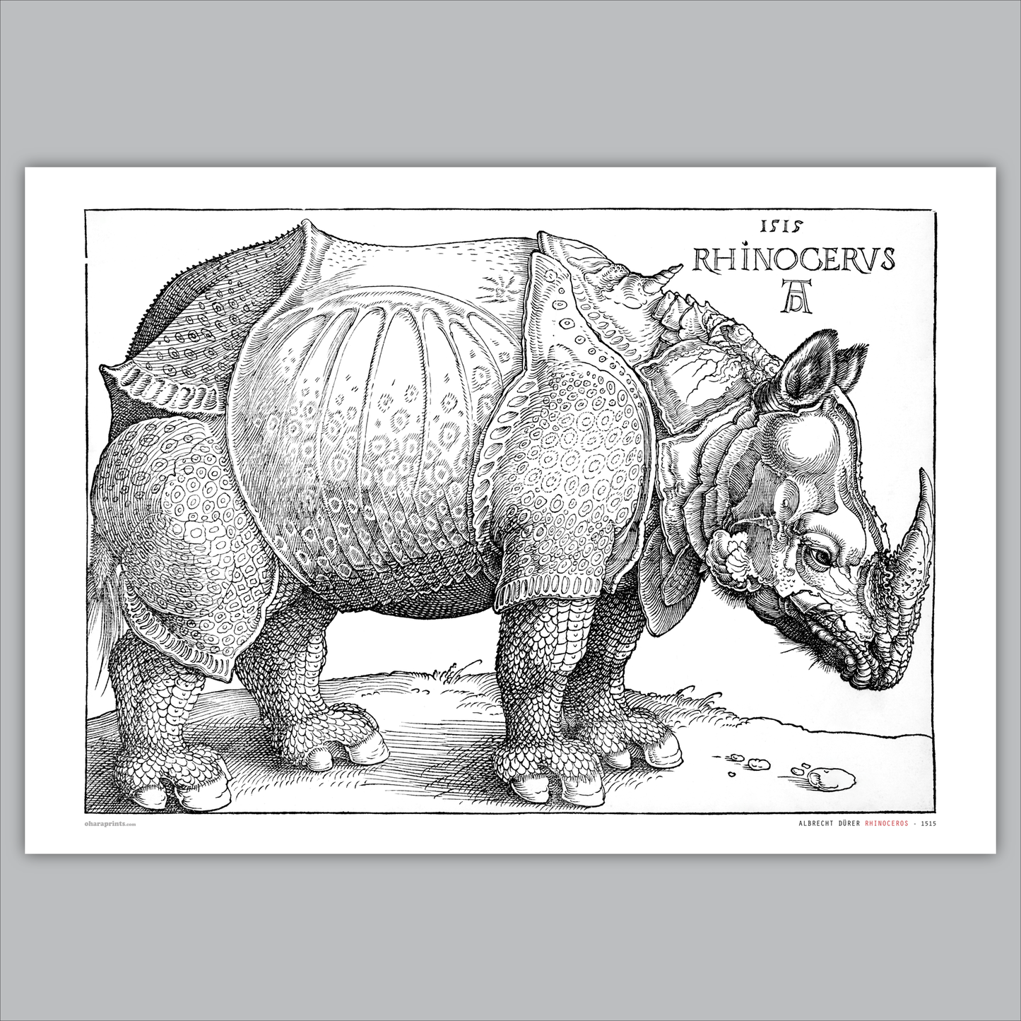 ALBRECHT DÜRER - Rhinoceros