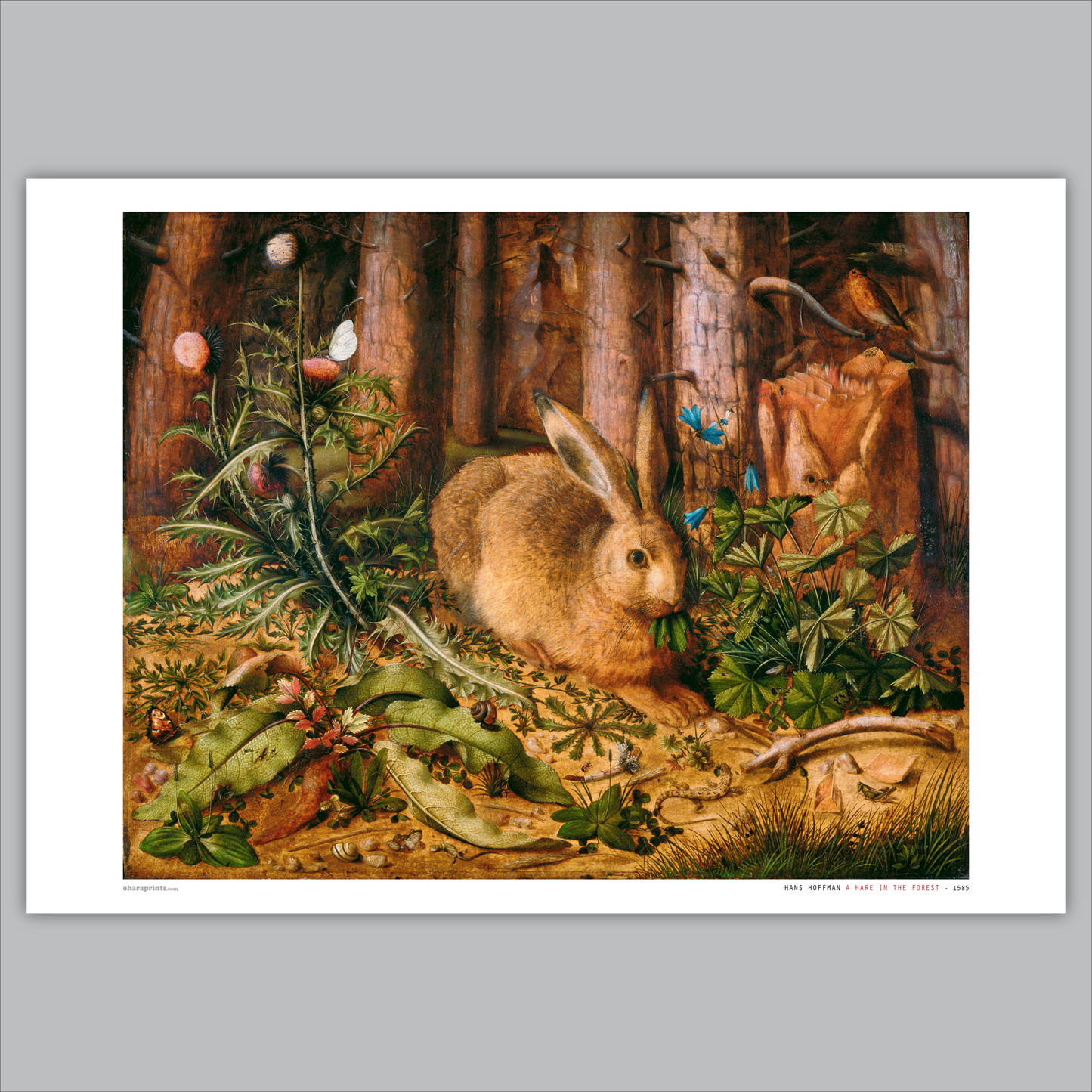 HANS HOFFMAN - A Hare In The Forest