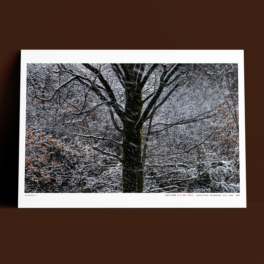 BEN OHARA - Gifu Snow Forest