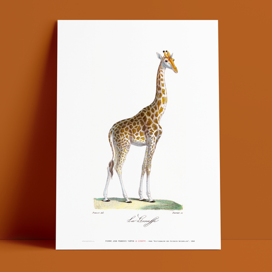 PIERRE TURPIN - La Giraffe