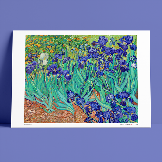 VINCENT VAN GOGH - Irises