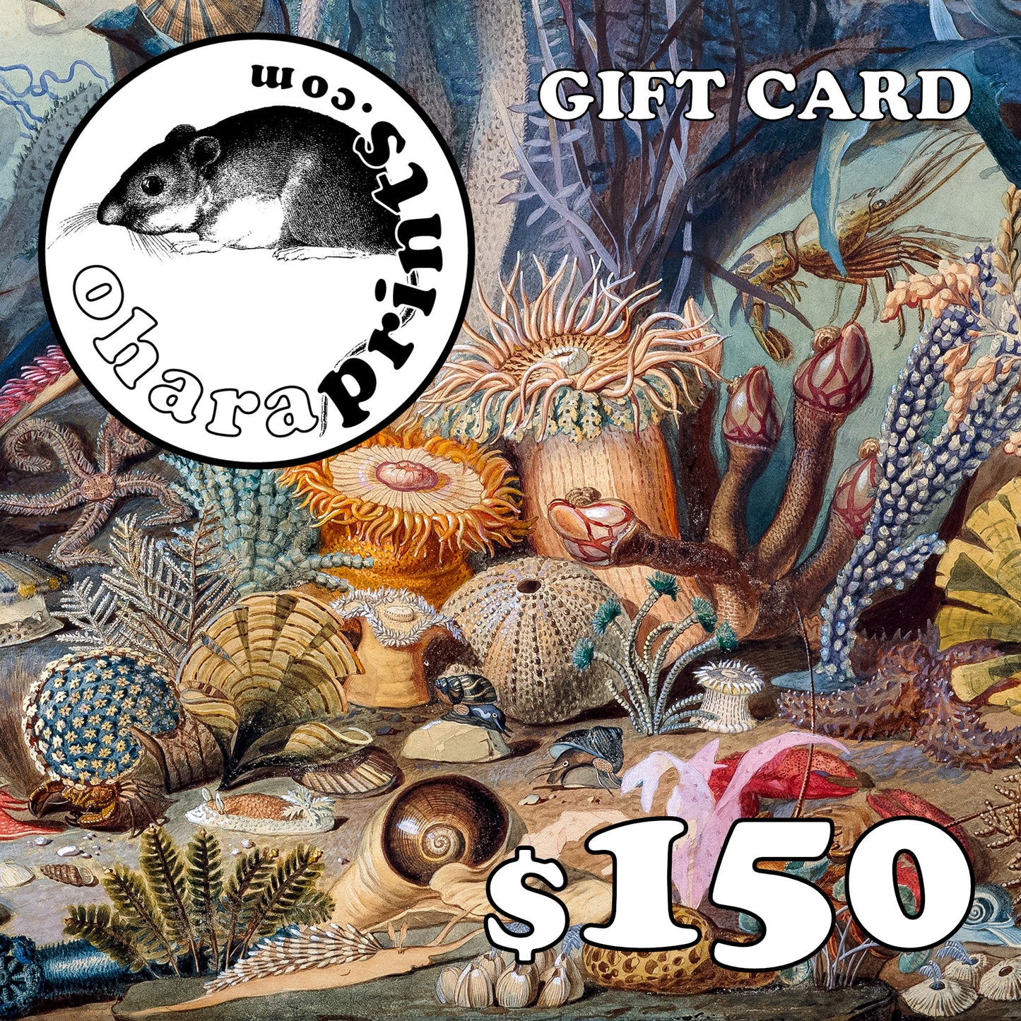 Ohara Prints GIFT CARD