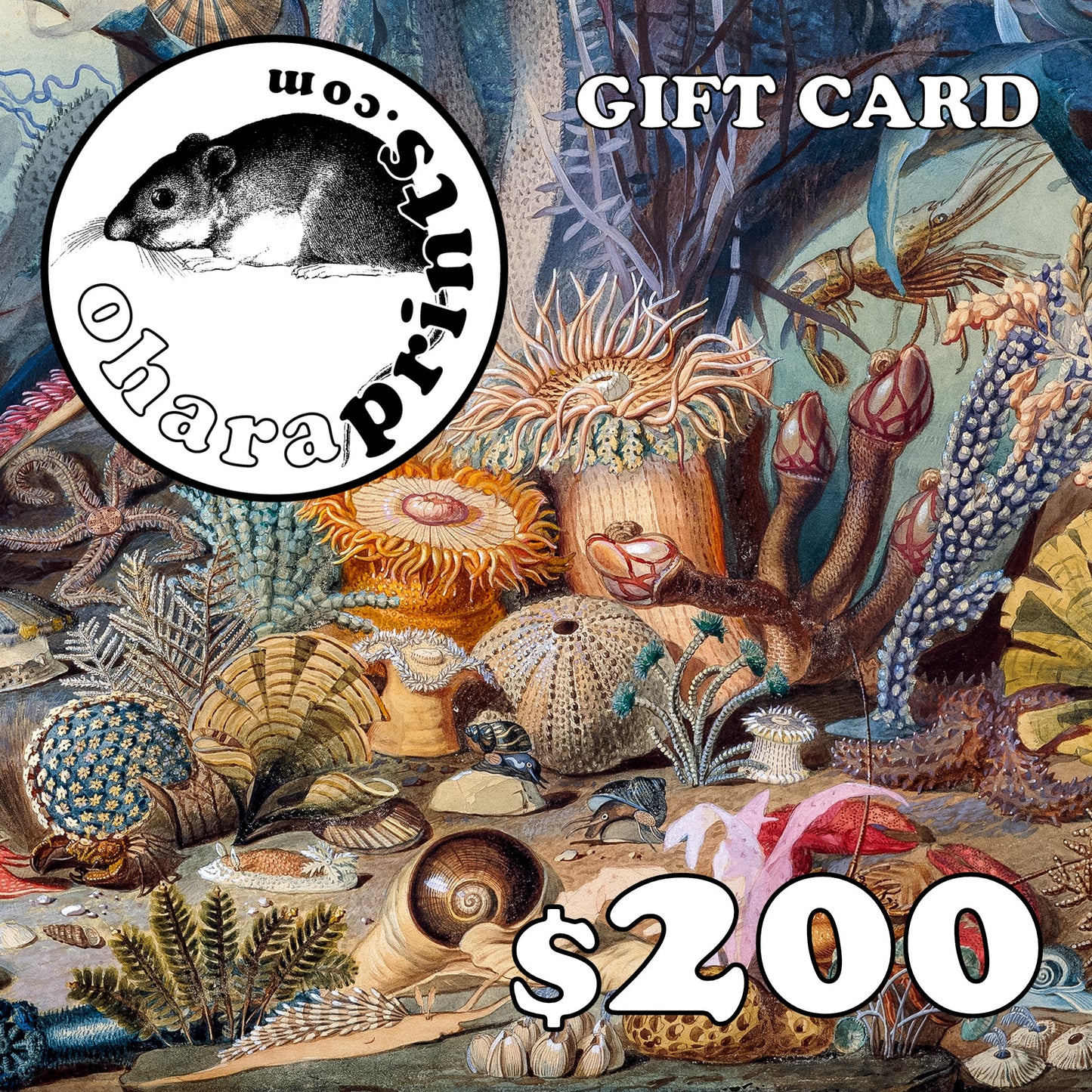 Ohara Prints GIFT CARD