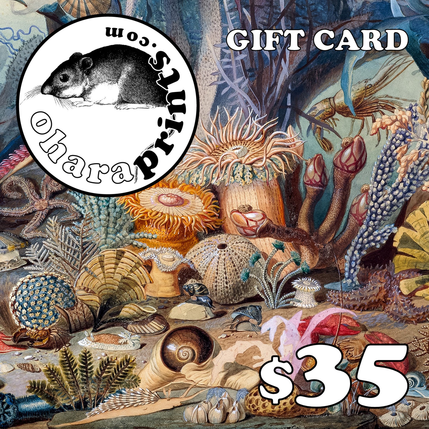 Ohara Prints GIFT CARD